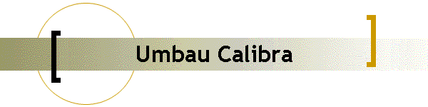 Umbau Calibra