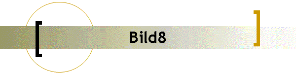 Bild8