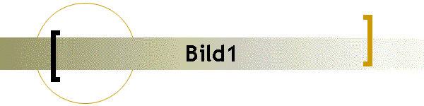 Bild1